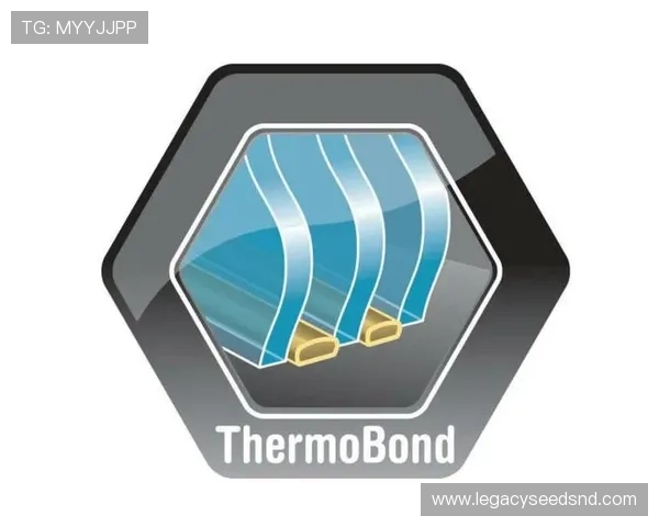 AG国际官方下载安全稳定，首选官网客户端下载指南