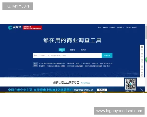 ag网址视讯安全指南：如何选择可信赖的官方登录入口