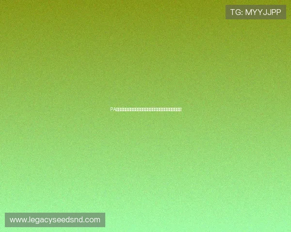 PA永乐国际:探索最全的体育博彩娱乐平台与最新优惠活动介绍 PA永乐国际:探索最全的体育博彩娱乐平台与最新优惠活动介绍