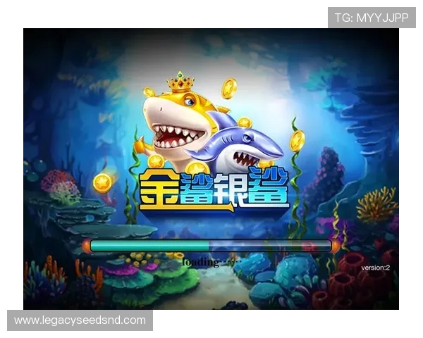 多样化的ag电玩游戏类型，满足不同玩家的视觉与操作需求