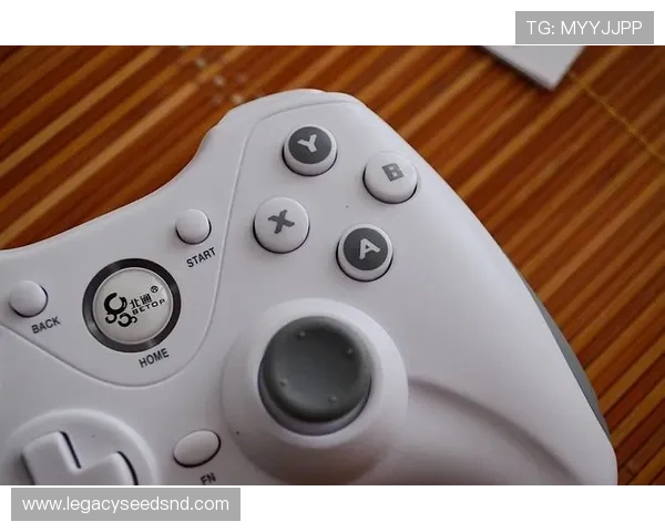 凯发K8.com真人版提供丰富的游戏种类，满足不同玩家的多样化娱乐需求