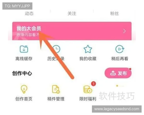 凯发娱乐会员每日签到奖励机制及提升积分的实用技巧