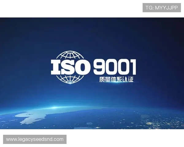 凯发K8app下载后如何进行游戏登录与账号安全保障措施详解 凯发K8app下载后如何进行游戏登录与账号安全保障措施详解