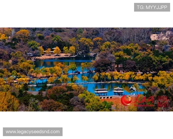 凯发k8首页登录最新公告，及时掌握平台动态与优惠活动，享受更多专属福利