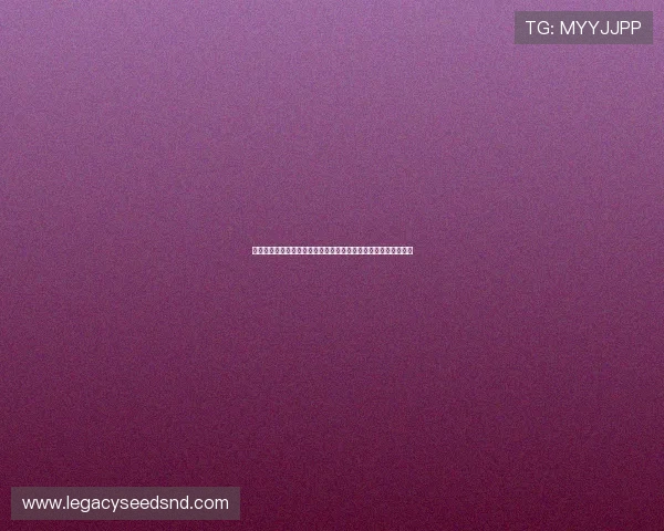 凯发娱乐官网登录入口更新通知，确保玩家第一时间顺利登录平台