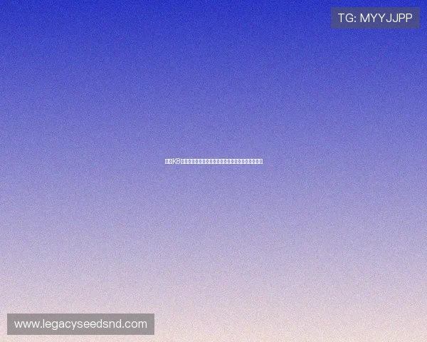 探索K8凯发网址的多种玩法与优惠活动，尽享精彩娱乐时光