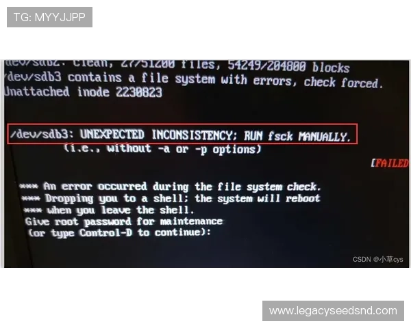 避免凯发旗舰厅登录线路错误的实用技巧与预防措施介绍