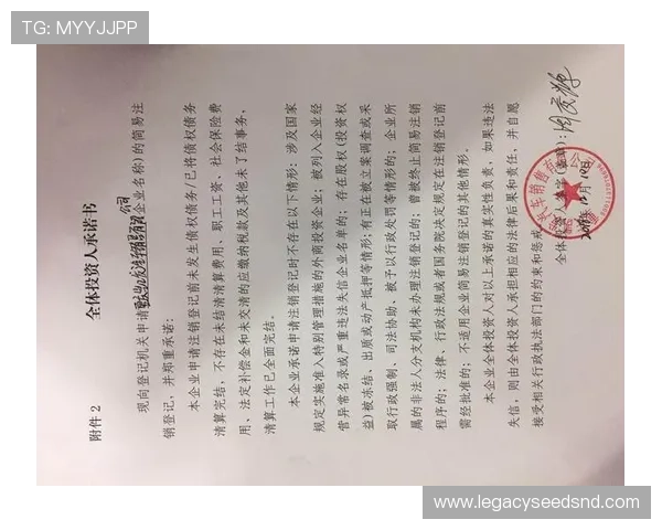 凯发官网下载客户端更新维护公告，及时掌握最新版本信息与升级指南