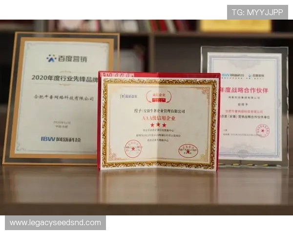 凯发手机官网首页平台合作伙伴与认证信息展示增强用户信任感