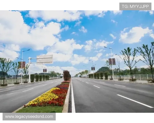 凯发电游安全保障措施：保障玩家资金与个人信息安全的实用策略